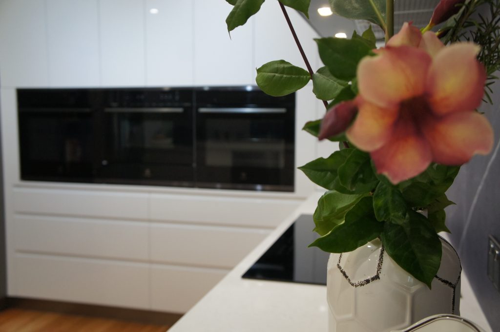 Modern Kitchen Renovation Brisbane Northside